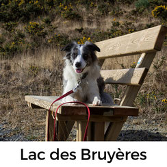 Lac des Bruyères