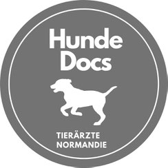 Tierärzte in der Normandie – das erste Mal mit Hund in der Normandie