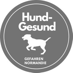 Das erste Mal mit Hund in der Normandie – Gesundheitgefahren für Hunde