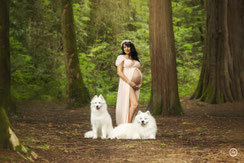 Séance photo grossesse et canine à Limoges en forêt.
