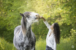 Photographe spécialisée dans les animaux de compagnie: séance photo équine en Dordogne