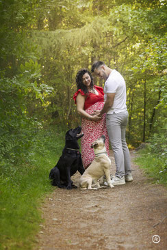 Séance photo canine artistique à Brive