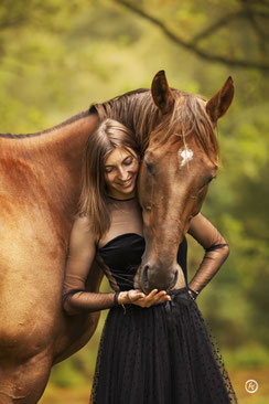 Photographe spécialisée dans les animaux de compagnie: séance photo équine à Limoges