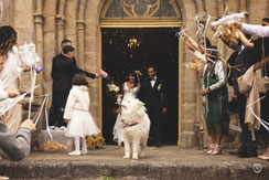 Photographe professionnelle artistique de mariages à Limoges