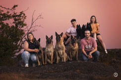 Photographe canin à Limoges