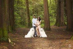 Photographe spécialisée chien et animaux de compagnie près de Limoges.