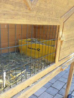 Foto: Christian Schober