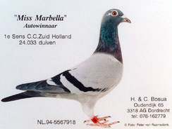 " Miss Marbella"