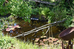 Ausschnitt aus unserem LBV-Naturgarten (Foto: H.Seiss)