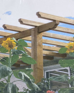 pergola bois made in france