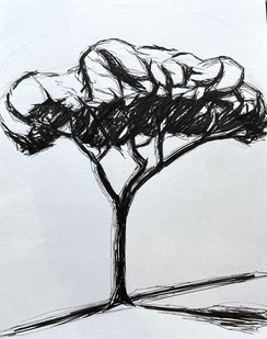 Skizze Baum mit Fineliner