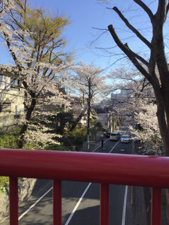 桜橋中央から川崎市の方 向