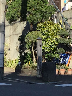 先日撮影を忘れた桜坂碑