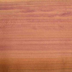 Zwetschge Pflaume Holz für Holzringe Holzschmuck Hochzeitsschmuck online kaufen