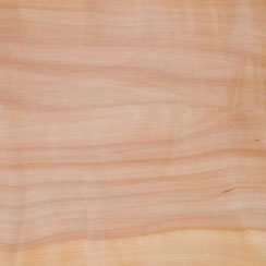 Holzart Apfel für Holzringe & Schmuck