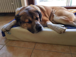 Giggione