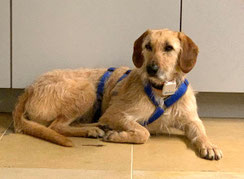 Anita
