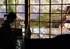 ぴあのがひきたくて・・・。,糸賀一典さん,桜フォトコンテスト,2020,浅草粋や賞