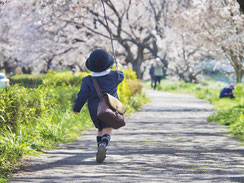 こんにちは卯月さん,shiho530さん,桜フォトコンテスト,2020,常盤堂 雷おこし本舗賞