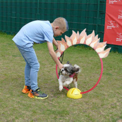 Hondenschool hond neuswerk snuffelmat workshop