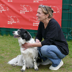 Hondenschool hond Labrador gehoorzaamheid cursus
