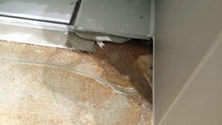 Fehlende Folienabdichtung bei bodengleicher Dusche