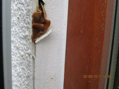 Putzrisse Feuchtigkeit kompostiert Wandkonstruktion (Putz, Holzwolle, Dämmplatte, Füllung, Zerlose als Dämmung) Kompostierung bis in die Dämmebene 1