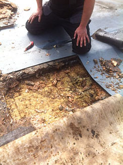 Planung und Ausführungsfehler - Totalschaden Flachdach