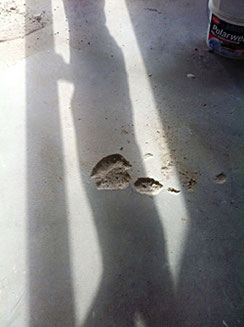 Estrich, welcher mit falschem Heizprogramm getrocknet wurde  Es entstand ein Totalschaden 4 Wochen vor dem geplanten Einzug