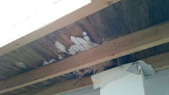 Schaden 3 Jahre nach Einzug, Dampfbremse anstatt Dachsperre eingebaut