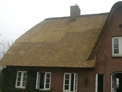 Neues Rieddach, Material aus unterschiedlichen Wuchsgebieten