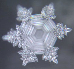 Rasmus Gaupp-Berghausen – Wasser und Frequenz