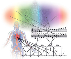 Rasmus Gaupp-Berghausen – Forschung und Praxis