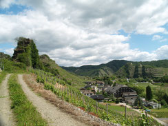 Die Weinberge in Mayschoss an der Lochmühle. Arweine mit besonderem Charakter. Das "Weinhaus Rosenthal" garantiert besondere Genussmomente.