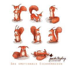 Eichhörnchen, Charakterdesign, Tier, Waldtiere