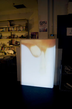 installation view of 'far in the distance (honey/towel mountain)' (detail) at sakura works