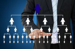 tudium mit Diplom, Zertifikat, Kompetenznachweis, Personal und Human Resources Management