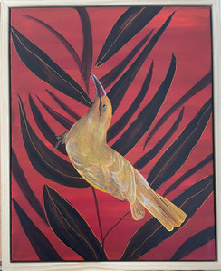 "Yellow Honeyeater' 45cm x 55cm Acrylic on canvas, pinewood frame $300 (excluding freight)