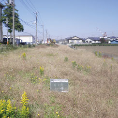 森戸新田工事　着工前写真