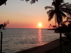 tropischer Sonnenuntergang am Meer mit Palmen lizenzfreie Bilder für kommerzielle Zwecke kostenlos downloaden Fotos herunterladen