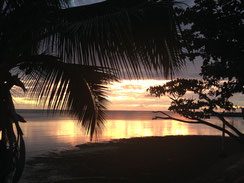 Sonnenuntergang romantisch tropisch Meer Palmen Fidschi Fiji traumhaft Fotos Bilder gratis herunterladen kostenlos nutzen für kommerzielle Zwecke