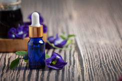 Bachblüten-Essenz in einer Pipettenflasche als Symbol für die Bach-Blütentherapie.
