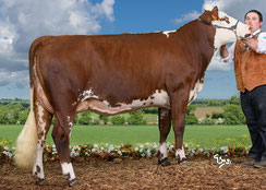 SPLENDIDE : Championne Jeune