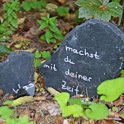 Stein im Garten - was machst du mit deiner Zeit