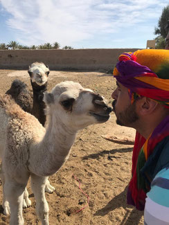 Said Hamil is a guide based in the Ouirgane valley. His company 'Berbere Atlas Experience' organizes hikes, treks and Sahara adventures 