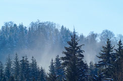 Winter auf der Schwäbischen Alb