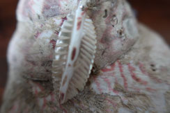 Pendentif plume en troca terminé bijoux nacre troca