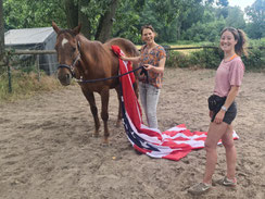 Horsemanship-Workshops für Unternehmen, Vereine & mehr