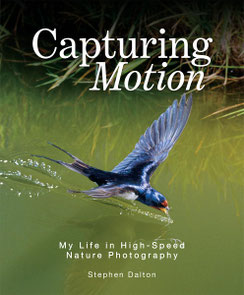 Stephen Dalton - Capturing Motion: My Life in High Speed Nature Photography