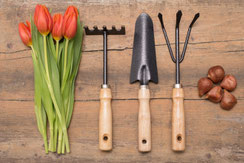 Gartenpflege, Sträucher, Hecken schneiden, Rasen mähen, Markus Ganotz, Bärnbach